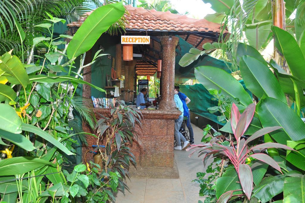 Villa Theresa Beach Resort Calangute Eksteriør bilde