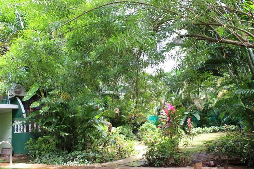 Villa Theresa Beach Resort Calangute Eksteriør bilde