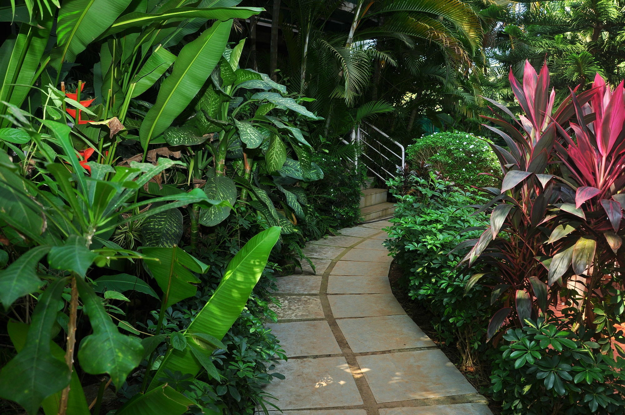 Villa Theresa Beach Resort Calangute Eksteriør bilde